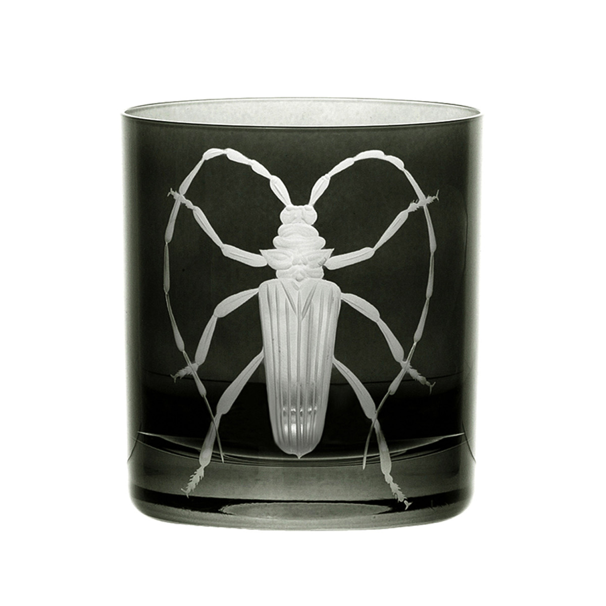 CABINET OF CURIOSITIES